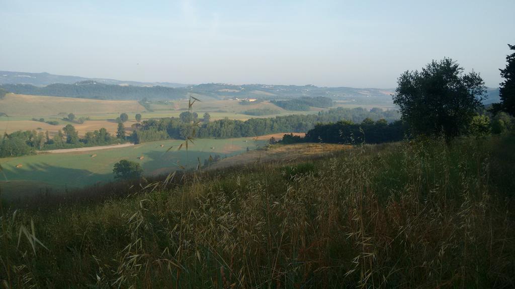 Agriturismo I Moricci ペッチョリ エクステリア 写真