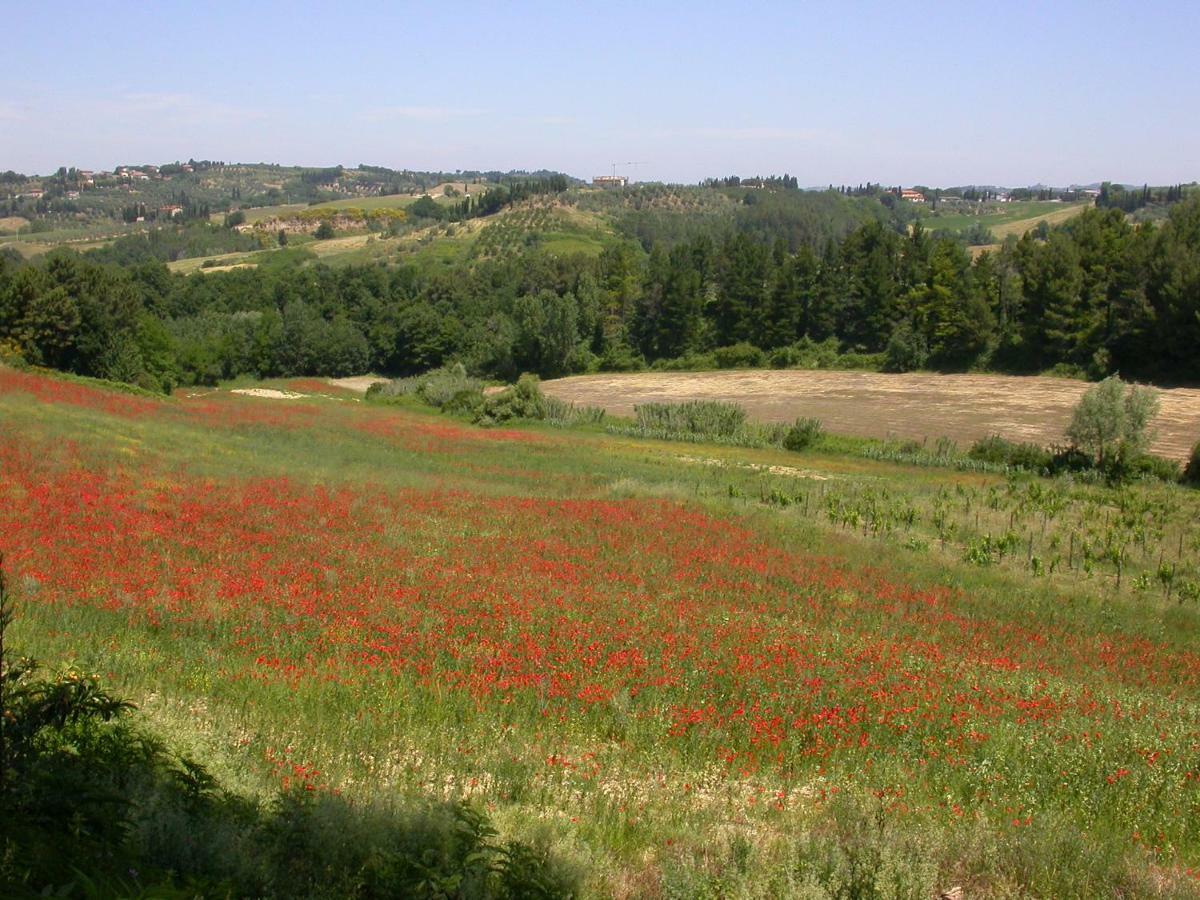 Agriturismo I Moricci ペッチョリ エクステリア 写真